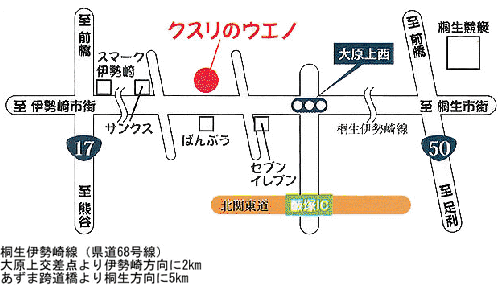 クスリのウエノ
